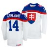 peter ceresnak white 2022 iihf world championship slovakia home jersey scaled