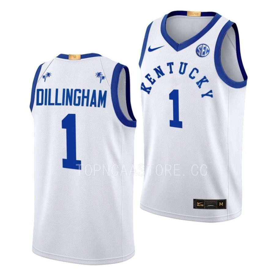 rob dillingham kentucky wildcats big blue bahamas limited basketball jersey scaled